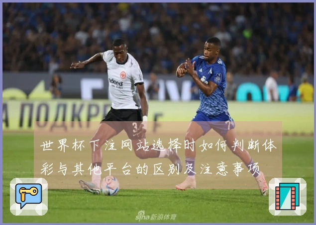 世界杯下注网站选择时如何判断体彩与其他平台的区别及注意事项