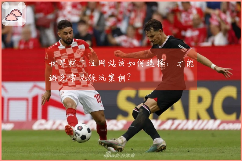世界杯下注网站该如何选择，才能避免常见踩坑案例？