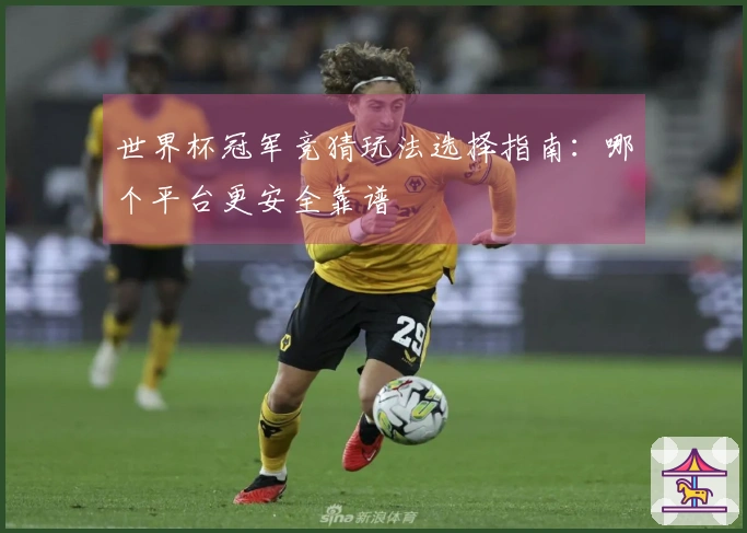 世界杯冠军竞猜玩法选择指南：哪个平台更安全靠谱