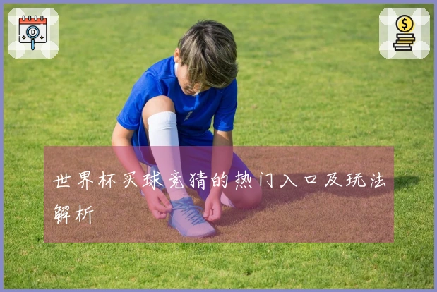 世界杯买球竞猜的热门入口及玩法解析