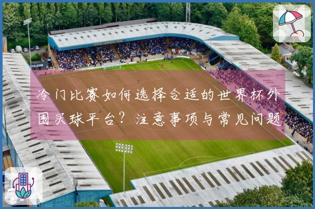 冷门比赛如何选择合适的世界杯外围买球平台？注意事项与常见问题解析