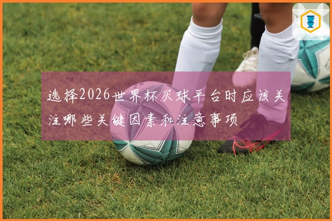 选择2026世界杯买球平台时应该关注哪些关键因素和注意事项