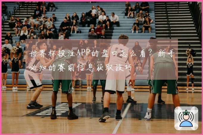 世界杯投注APP的盘口怎么看？新手必知的赛前信息获取技巧