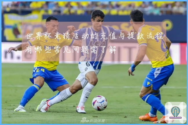 世界杯竞猜活动的充值与提款流程有哪些常见问题需了解