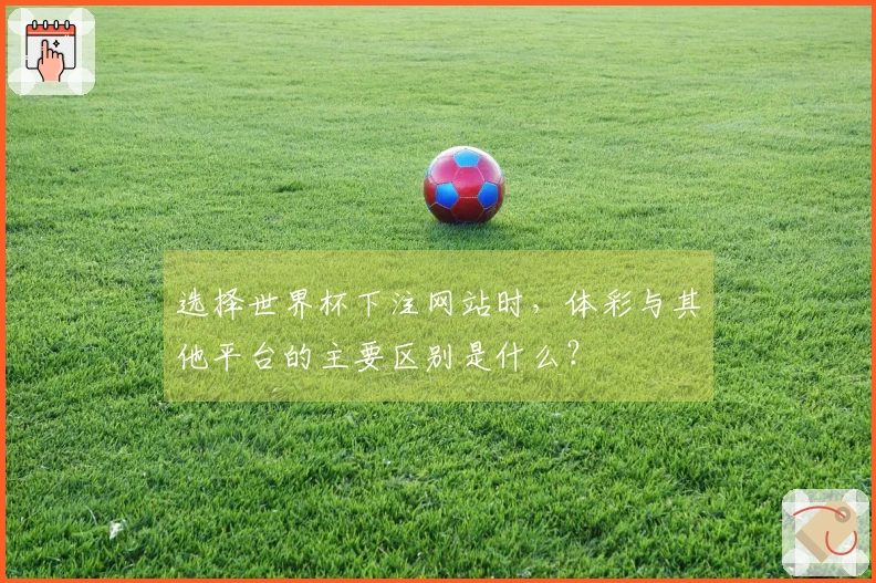 选择世界杯下注网站时，体彩与其他平台的主要区别是什么？