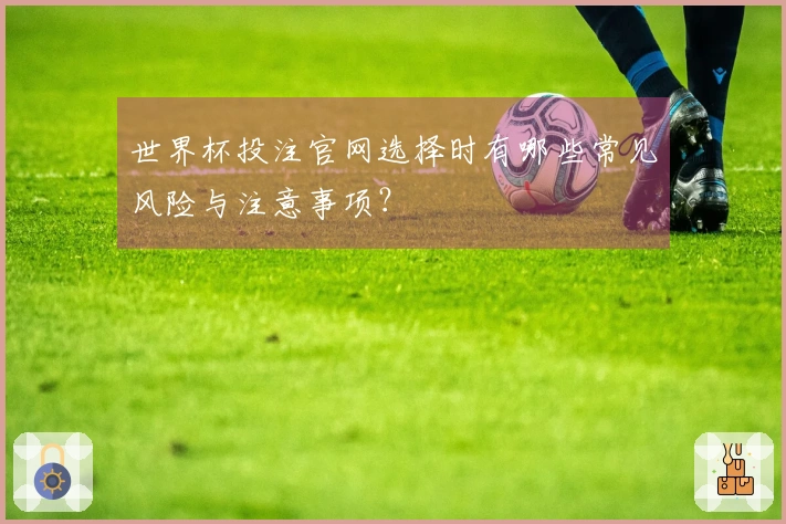 世界杯投注官网选择时有哪些常见风险与注意事项？