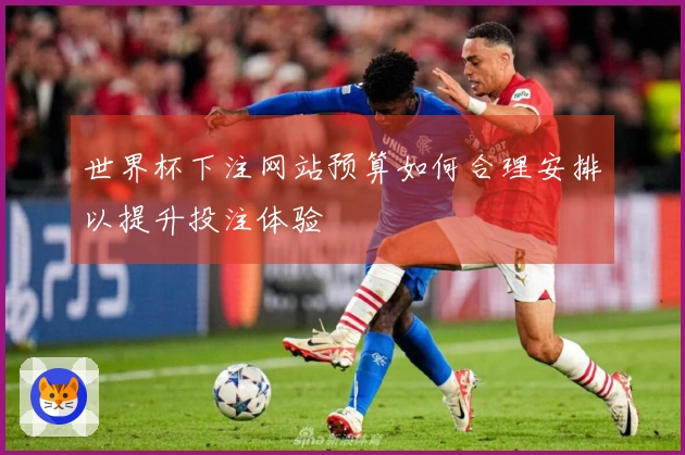 世界杯下注网站预算如何合理安排以提升投注体验
