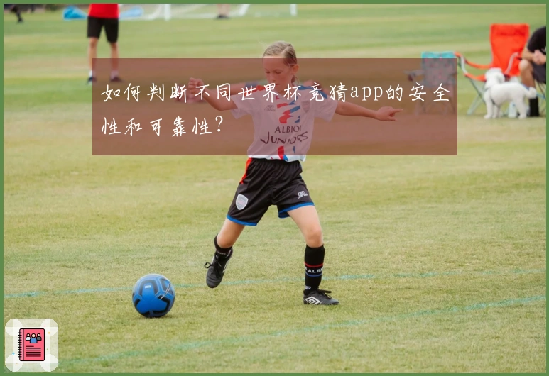如何判断不同世界杯竞猜app的安全性和可靠性？