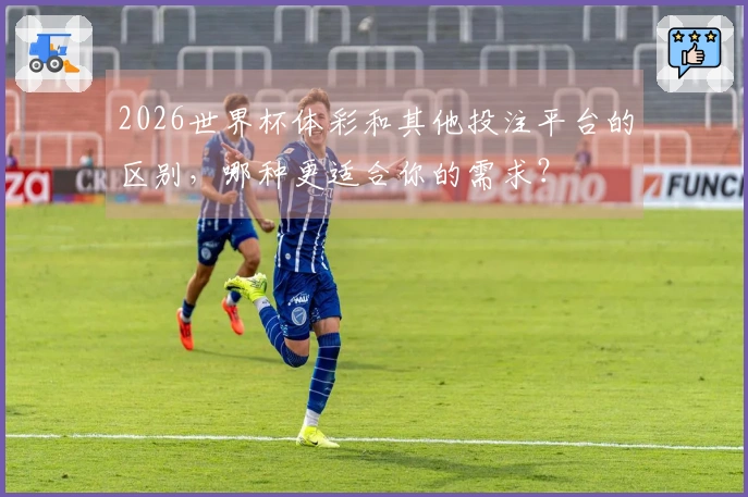 2026世界杯体彩和其他投注平台的区别，哪种更适合你的需求？