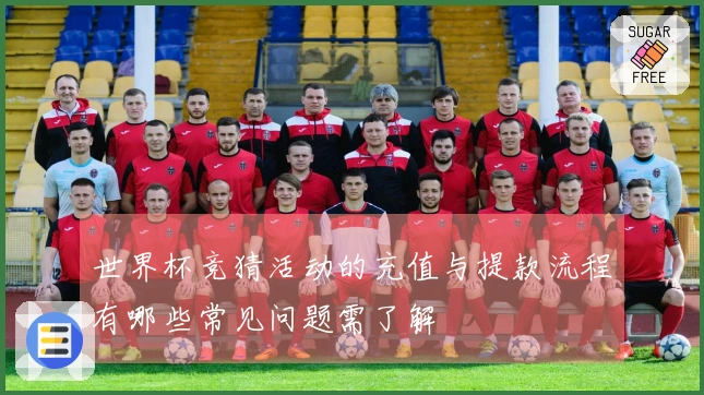 世界杯竞猜活动的充值与提款流程有哪些常见问题需了解