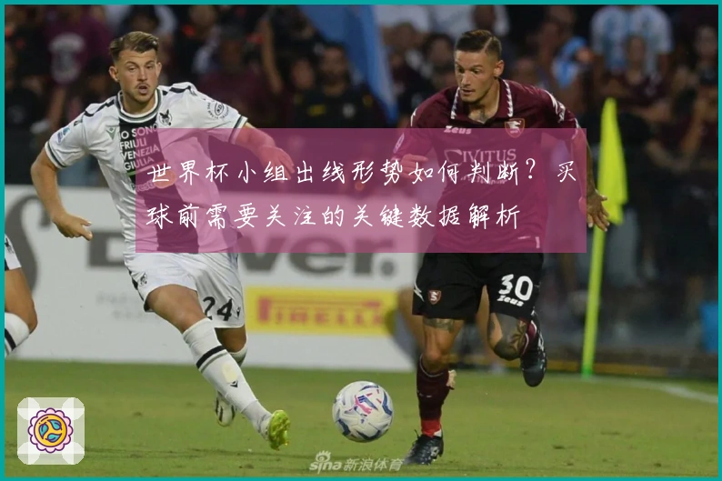 世界杯小组出线形势如何判断？买球前需要关注的关键数据解析