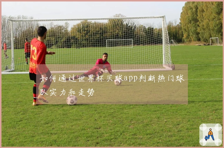 如何通过世界杯买球app判断热门球队实力和走势