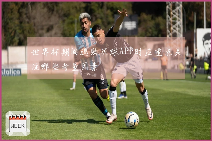 世界杯期间选购买球APP时应重点关注哪些考量因素