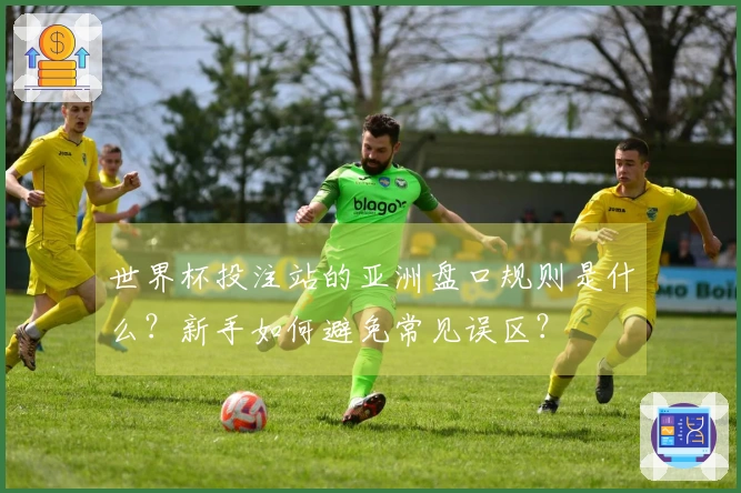 世界杯投注站的亚洲盘口规则是什么？新手如何避免常见误区？