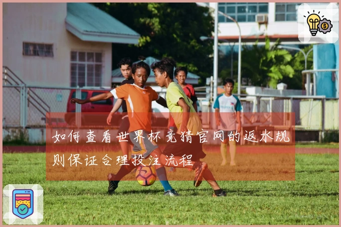 如何查看世界杯竞猜官网的返水规则保证合理投注流程