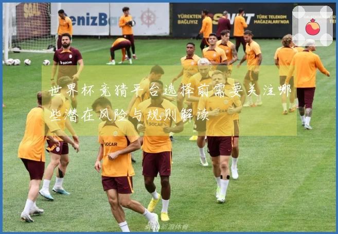 世界杯竞猜平台选择前需要关注哪些潜在风险与规则解读