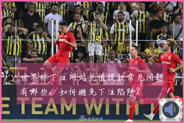 世界杯下注网站充值提款常见问题有哪些，如何避免下注陷阱？