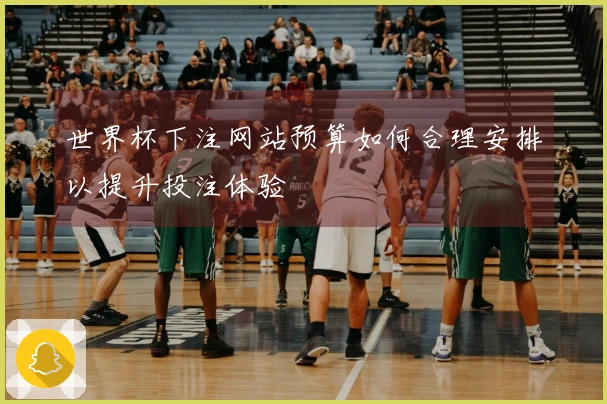 世界杯下注网站预算如何合理安排以提升投注体验