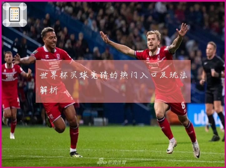 世界杯买球竞猜的热门入口及玩法解析