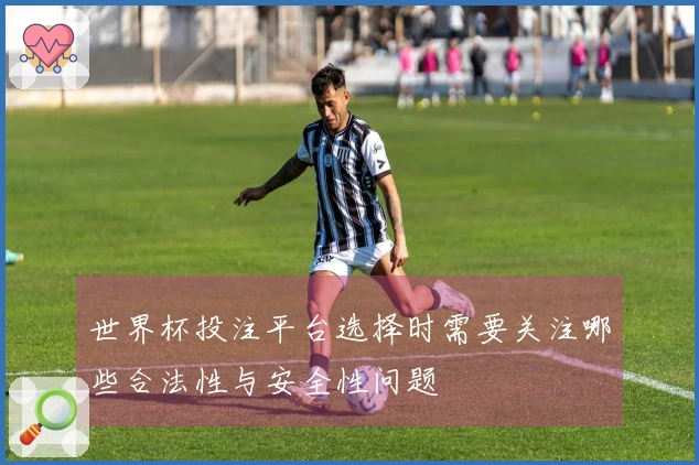 世界杯投注平台选择时需要关注哪些合法性与安全性问题