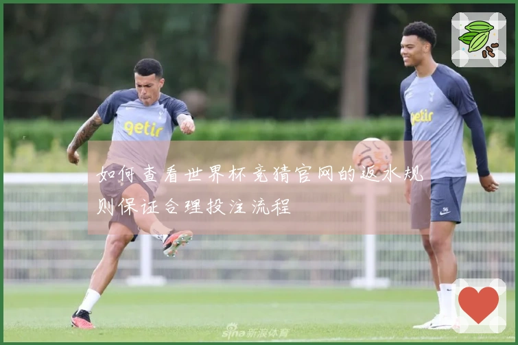 如何查看世界杯竞猜官网的返水规则保证合理投注流程