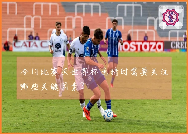 冷门比赛买世界杯竞猜时需要关注哪些关键因素？